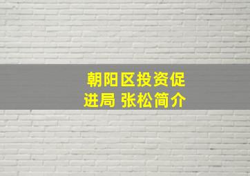 朝阳区投资促进局 张松简介